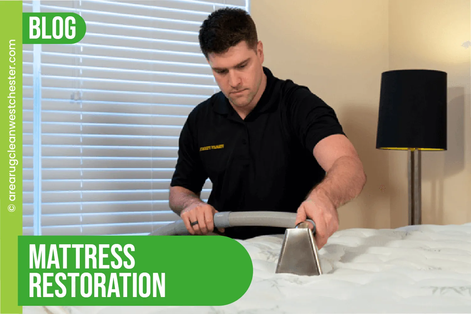 carpet cleaning in westchester, carpet cleaning westchester, carpet cleaners in westchester, carpet cleaners in westchester, commercial carpet cleaning, commercial carpet cleaning in westchester, westchester rug cleaners, rug cleaning services in westchester, same day carpet cleaning, same day rug cleaning in westchester