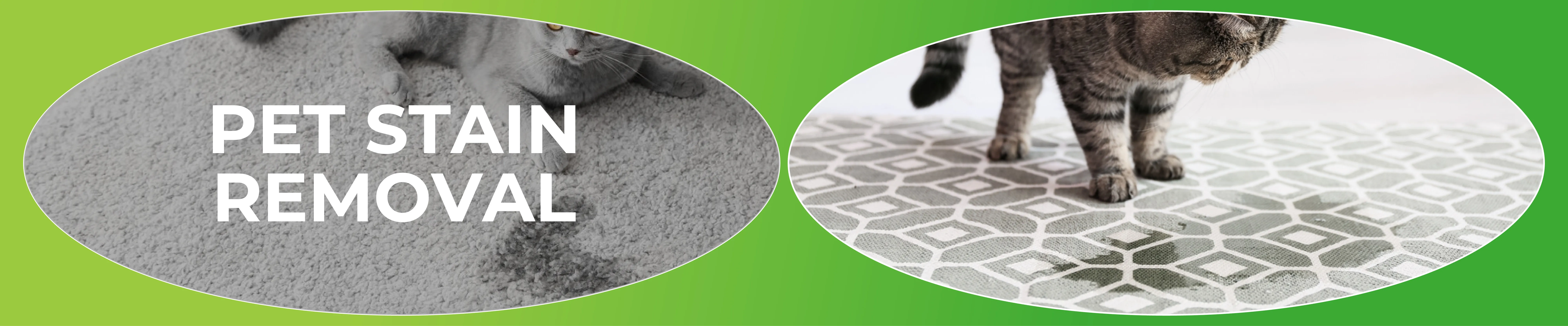 carpet cleaning in westchester, carpet cleaning westchester, carpet cleaners in westchester, carpet cleaners in westchester, commercial carpet cleaning, commercial carpet cleaning in westchester, westchester rug cleaners, rug cleaning services in westchester, same day carpet cleaning, same day rug cleaning in westchester