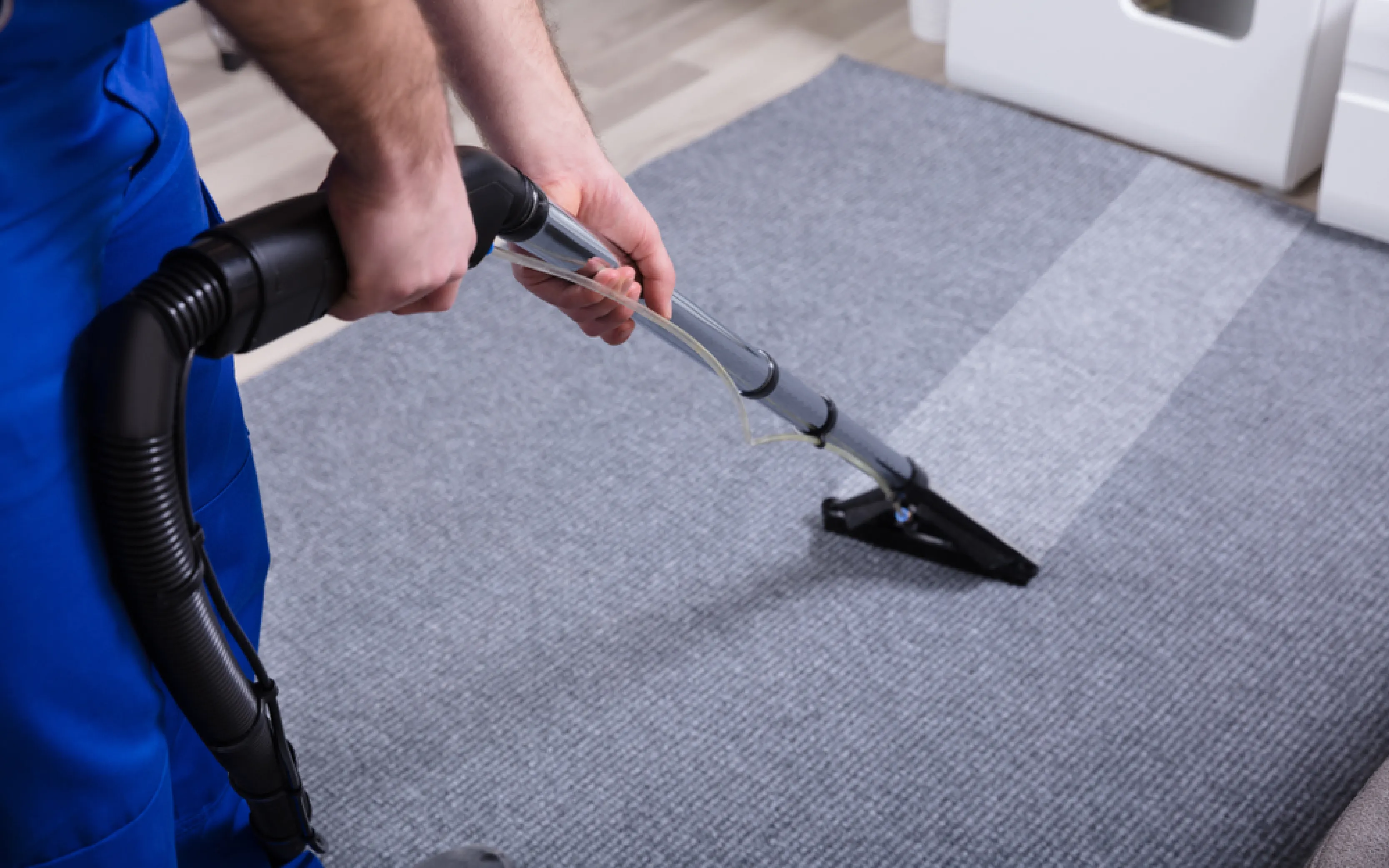 carpet cleaning in westchester, carpet cleaning westchester, carpet cleaners in westchester, carpet cleaners in westchester, commercial carpet cleaning, commercial carpet cleaning in westchester, westchester rug cleaners, rug cleaning services in westchester, same day carpet cleaning, same day rug cleaning in westchester