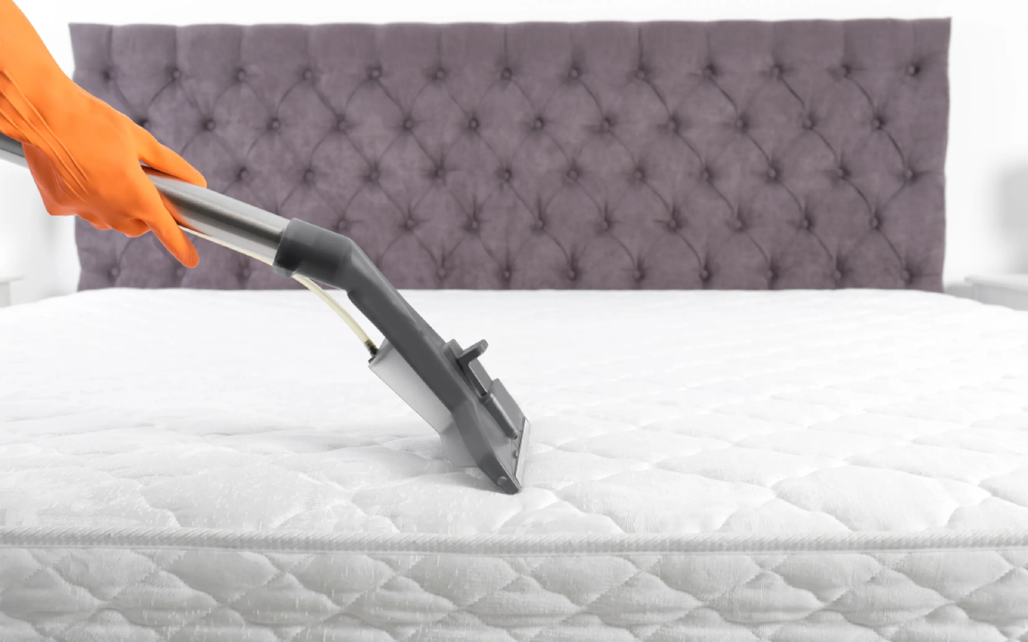 carpet cleaning in westchester, carpet cleaning westchester, carpet cleaners in westchester, carpet cleaners in westchester, commercial carpet cleaning, commercial carpet cleaning in westchester, westchester rug cleaners, rug cleaning services in westchester, same day carpet cleaning, same day rug cleaning in westchester