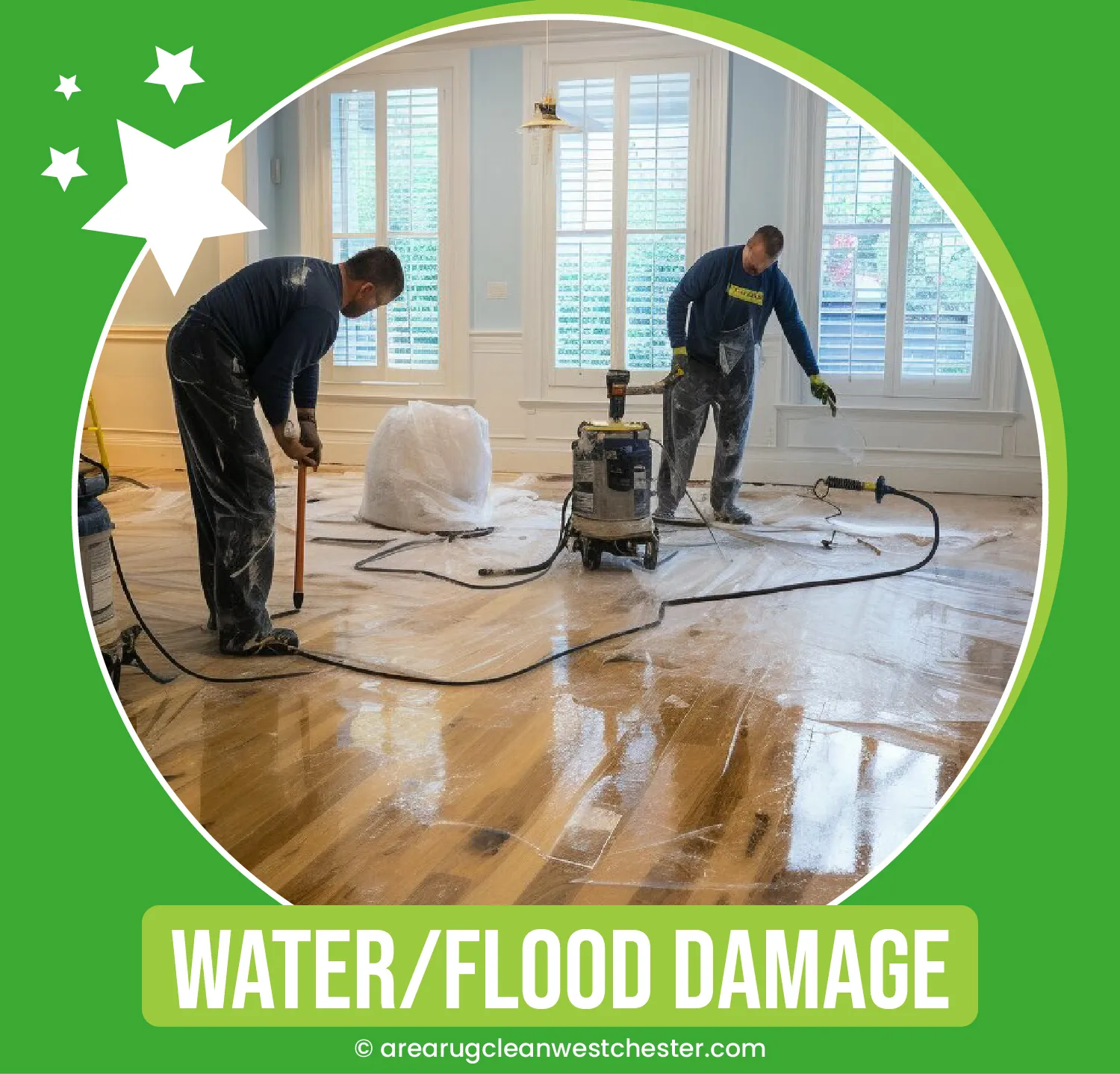 carpet cleaning in westchester, carpet cleaning westchester, carpet cleaners in westchester, carpet cleaners in westchester, commercial carpet cleaning, commercial carpet cleaning in westchester, westchester rug cleaners, rug cleaning services in westchester, same day carpet cleaning, same day rug cleaning in westchester